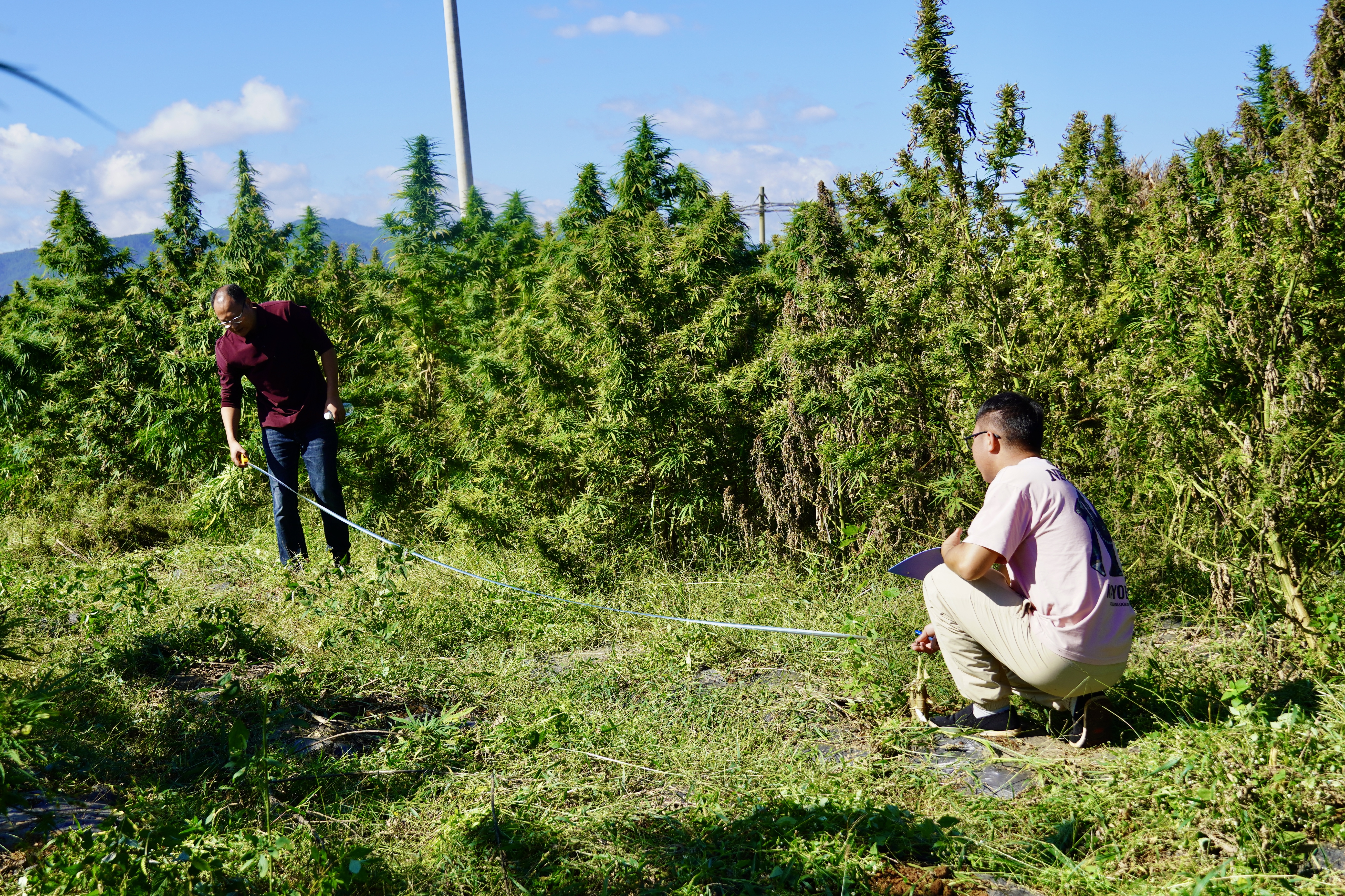 1762153444498086456.jpg caf3cf12cc30a0e662a7b62252d483dc.jpg