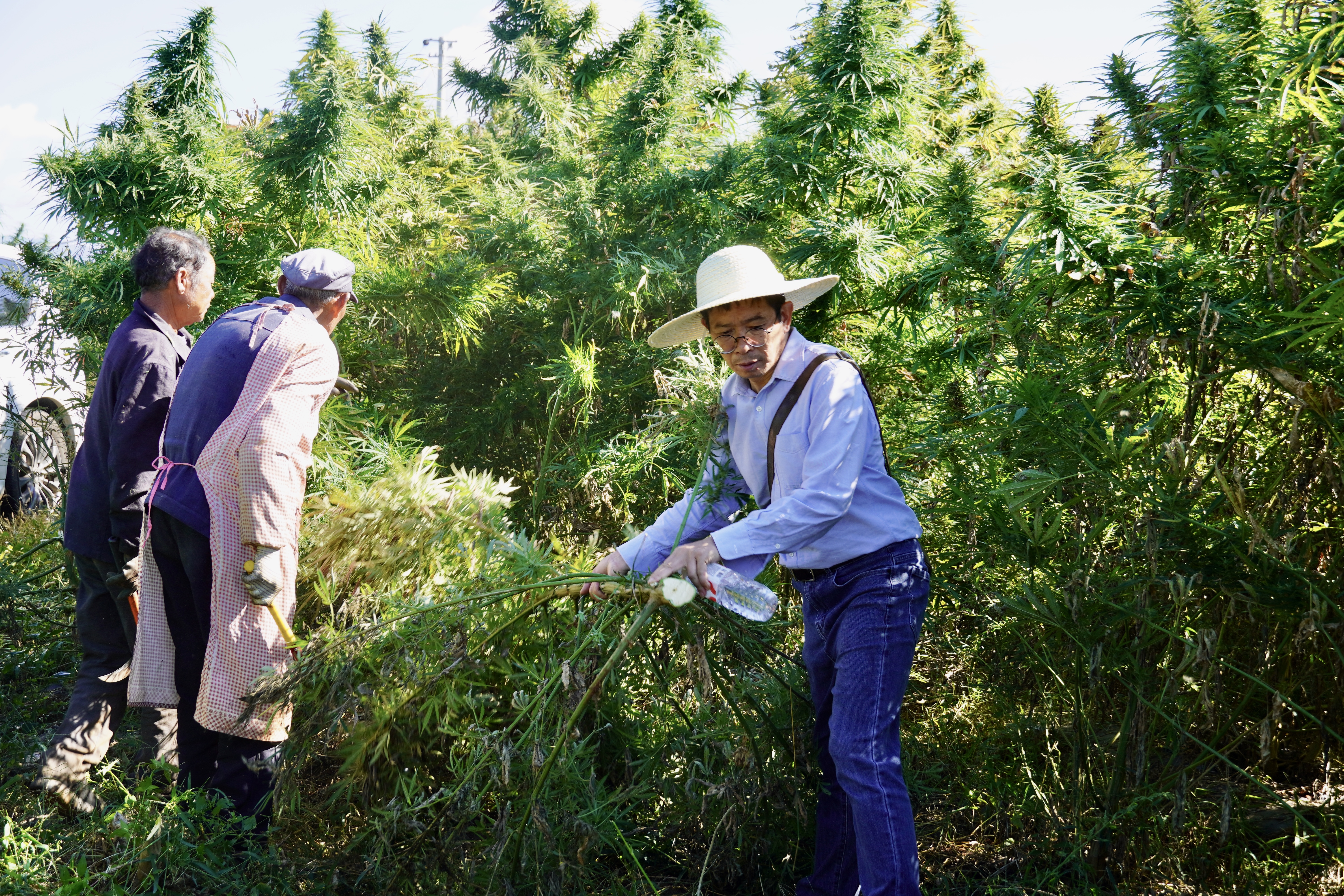 1762153450173074837.jpg 036584356c0c04dfe433a16d293d1673.jpg